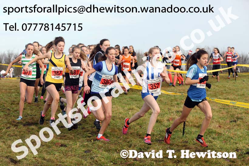 Girls under-15s North Eastern Cross Country, Aykley Heads, Durham. Photo: David T. Hewitson/Sports for All Pics